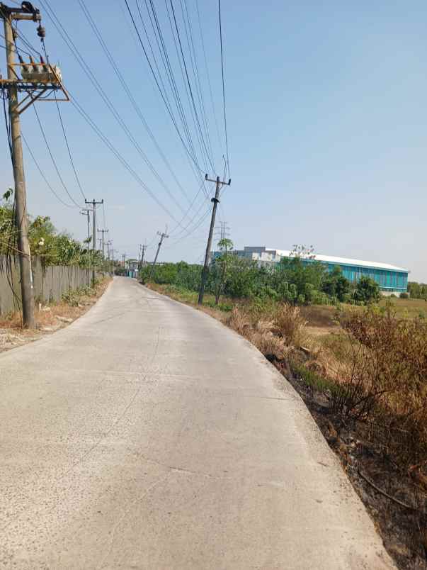 dijual tanah cilangkara serang baru cikarang bekasi