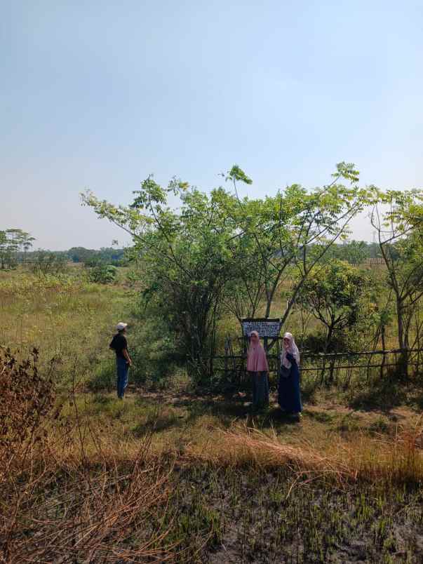 dijual tanah cilangkara serang baru cikarang bekasi