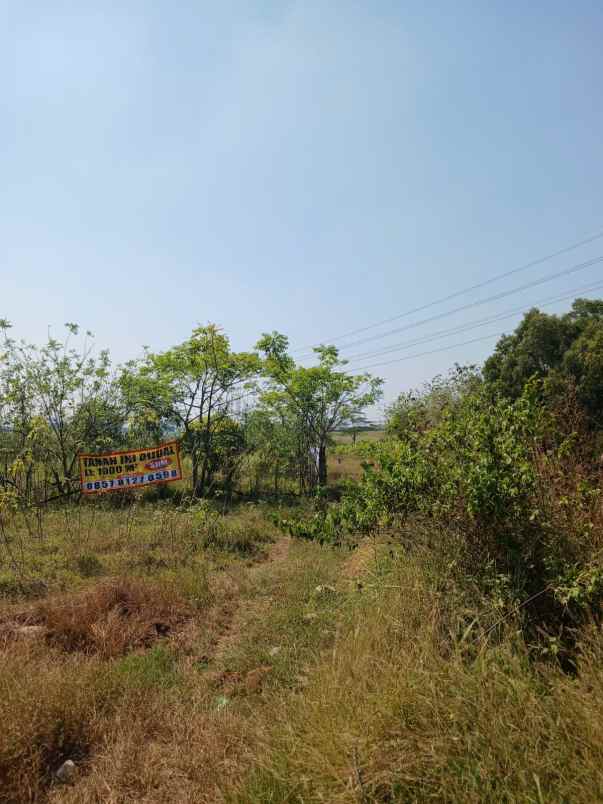 dijual tanah cilangkara serang baru cikarang bekasi