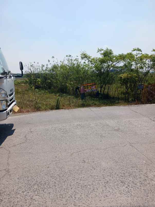 dijual tanah cilangkara serang baru cikarang bekasi