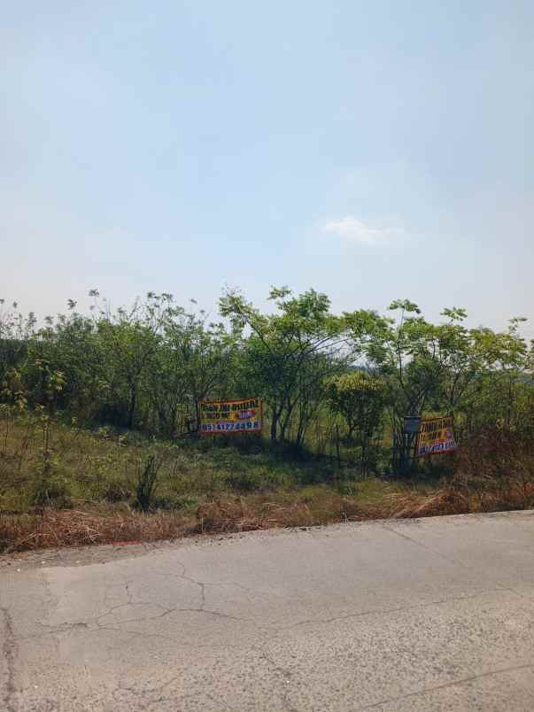 dijual tanah cilangkara serang baru cikarang bekasi