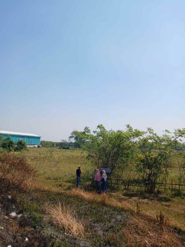 dijual tanah cilangkara serang baru cikarang bekasi