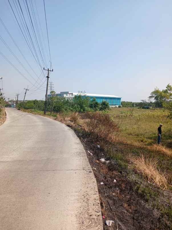 dijual tanah cilangkara serang baru cikarang bekasi