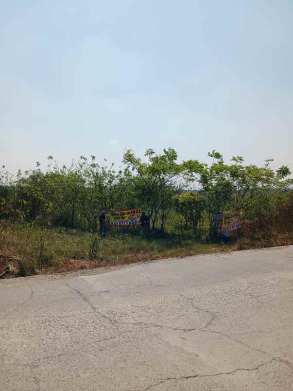 dijual tanah cilangkara serang baru cikarang bekasi