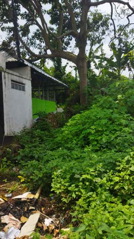 dijual tanah cipageran