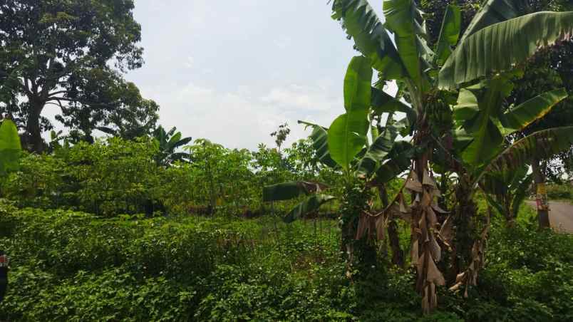 dijual tanah cipageran