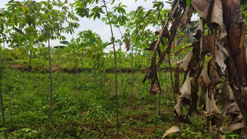 dijual tanah cipageran