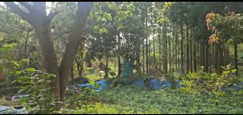 dijual tanah cocok gudang perumahan