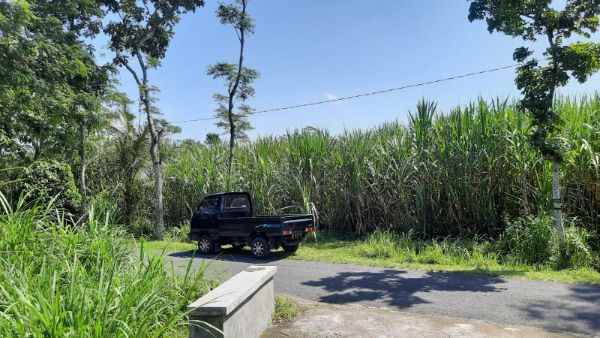 dijual tanah desa karanganyar kec wates