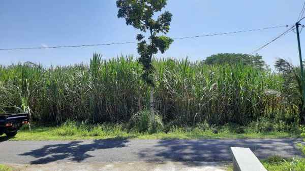 dijual tanah desa karanganyar kec wates