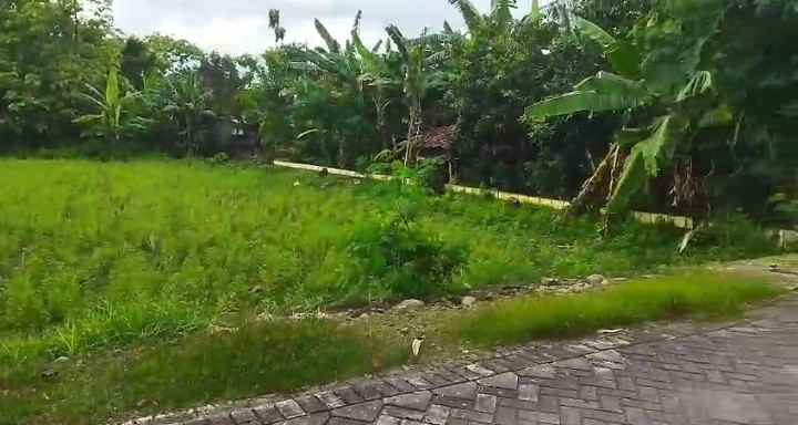 dijual tanah di klumpit kersikan kec geneng kab ngawi