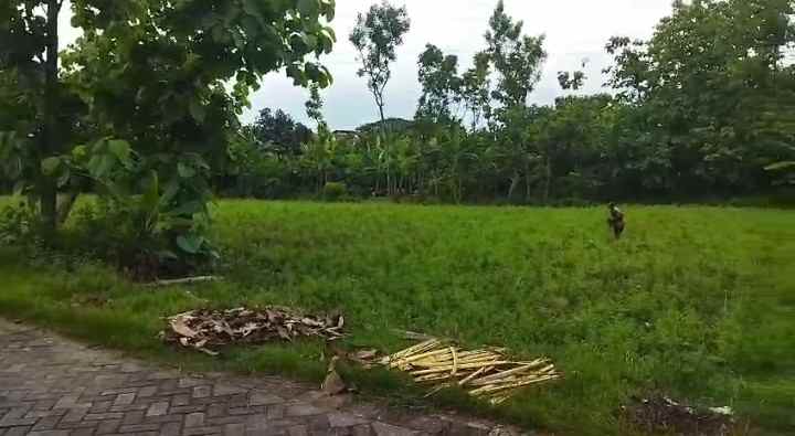 dijual tanah di klumpit kersikan kec geneng kab ngawi