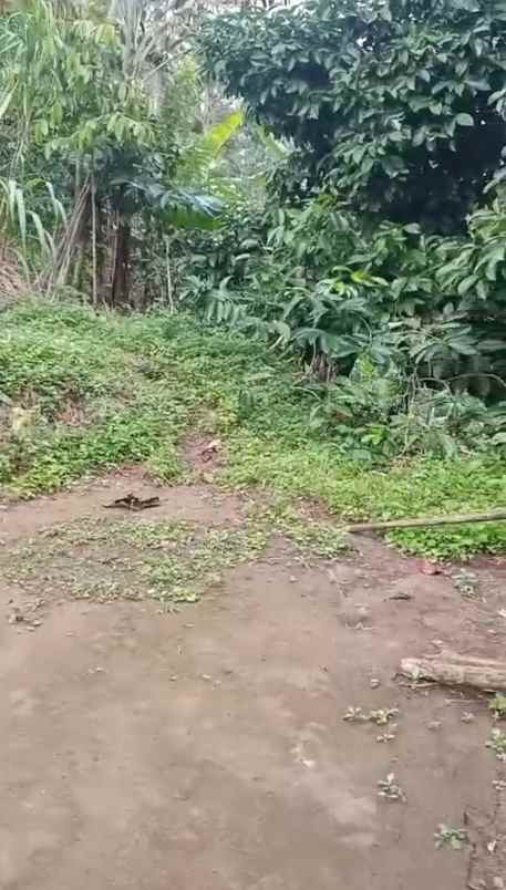 dijual tanah ds mundeh kangin kec