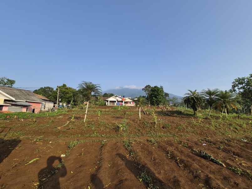 dijual tanah jalan ciburayut cigombong