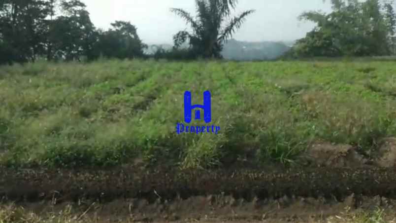 dijual tanah jalan kubucolia seberaya