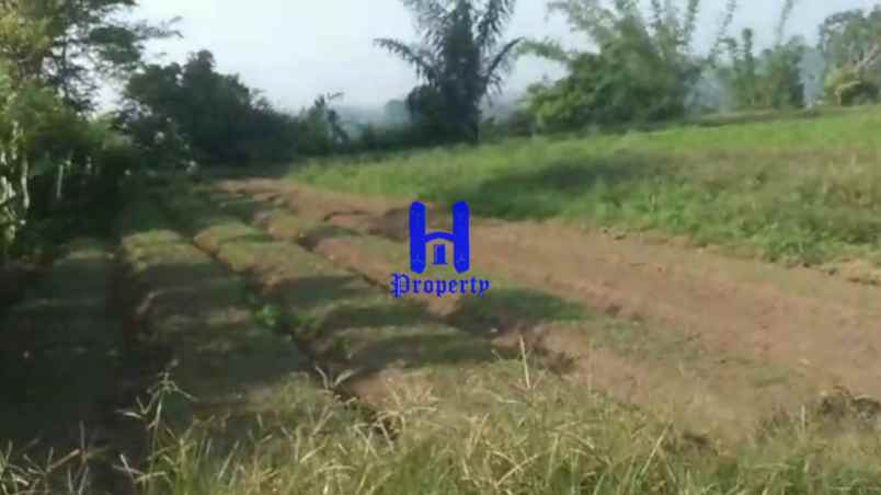 dijual tanah jalan kubucolia seberaya