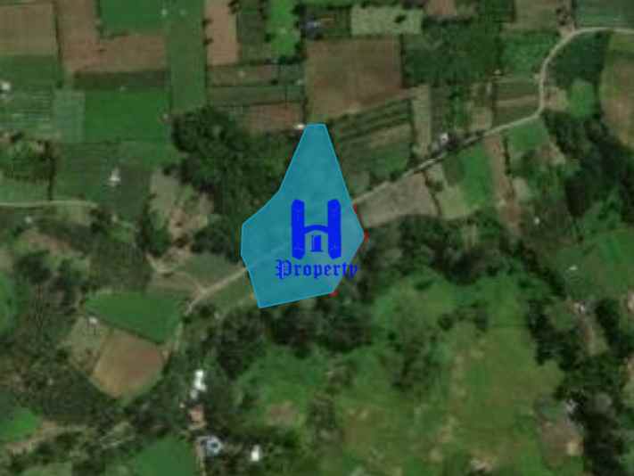 dijual tanah jalan kubucolia seberaya