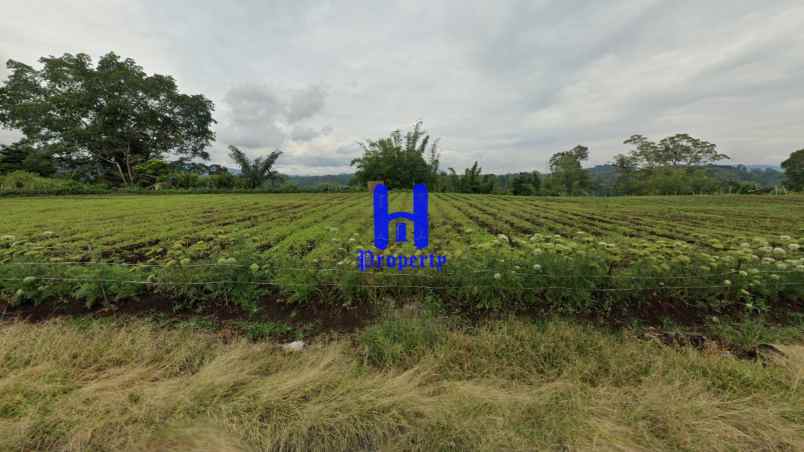 dijual tanah jalan kubucolia seberaya