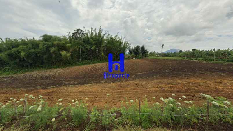 dijual tanah jalan kubucolia seberaya