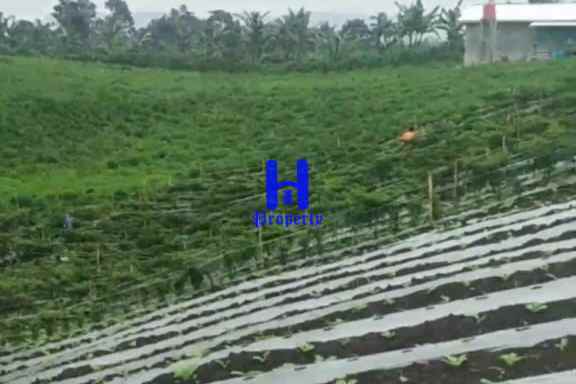 dijual tanah jalan kubucolia seberaya