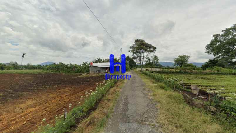 dijual tanah jalan kubucolia seberaya