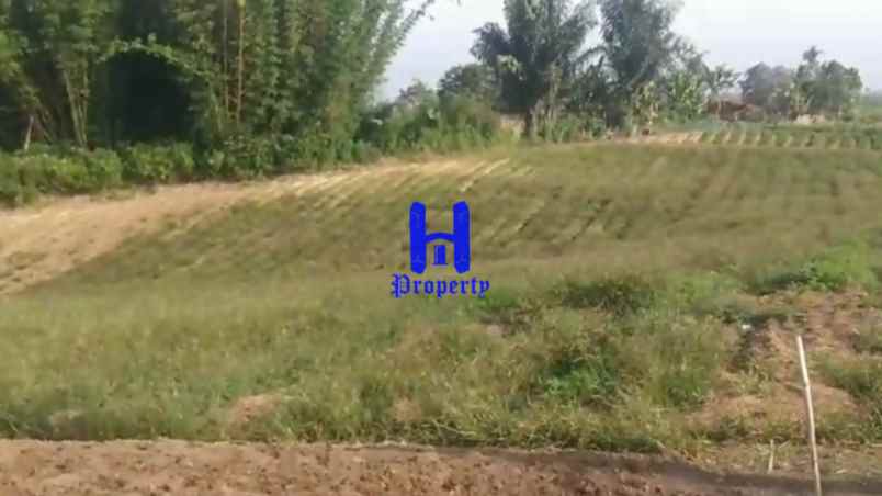 dijual tanah jalan kubucolia seberaya