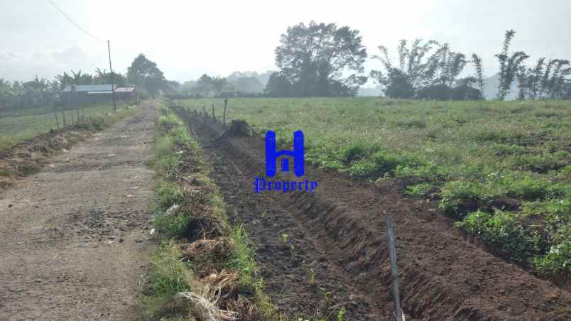 dijual tanah jalan kubucolia seberaya