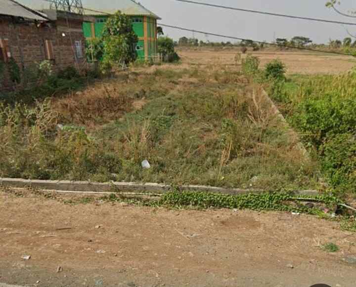 dijual tanah jalan pantura losarang