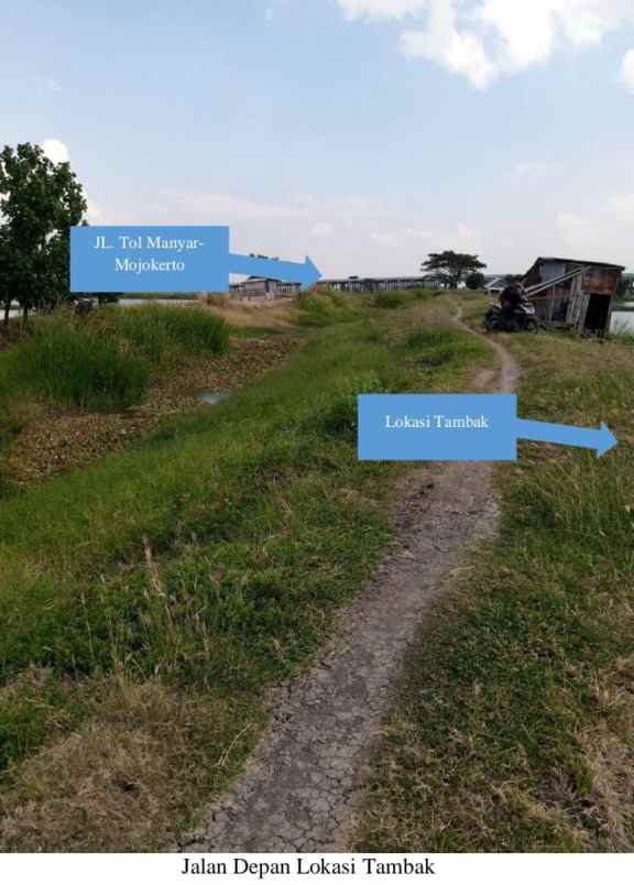 dijual tanah jalan tambak beras