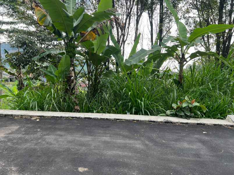 dijual tanah jenawi karanganyar solo