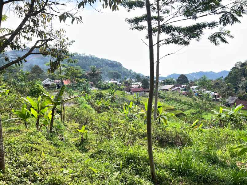 dijual tanah jenawi karanganyar solo