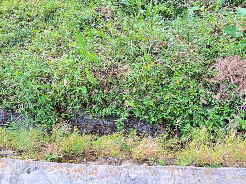 dijual tanah jenawi karanganyar solo