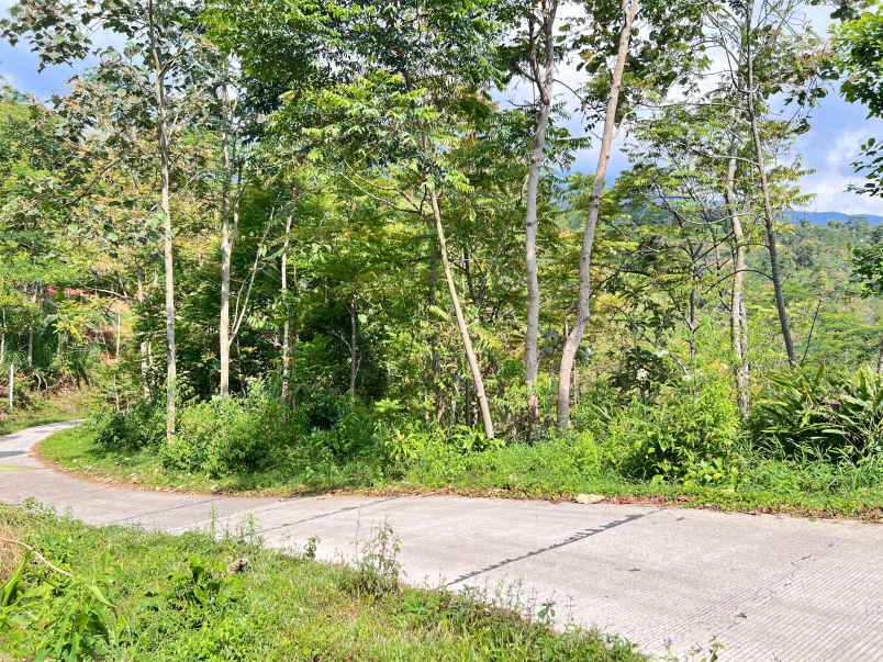 dijual tanah jenawi karanganyar solo