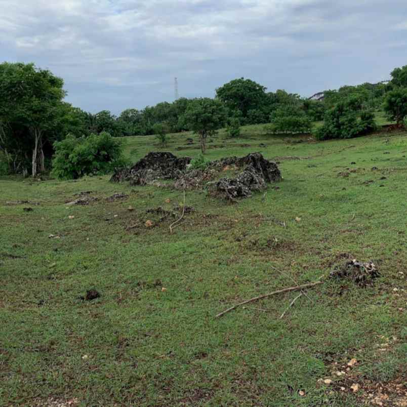 dijual tanah jl karang pandawa