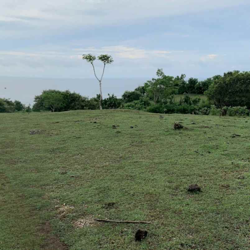 dijual tanah jl karang pandawa