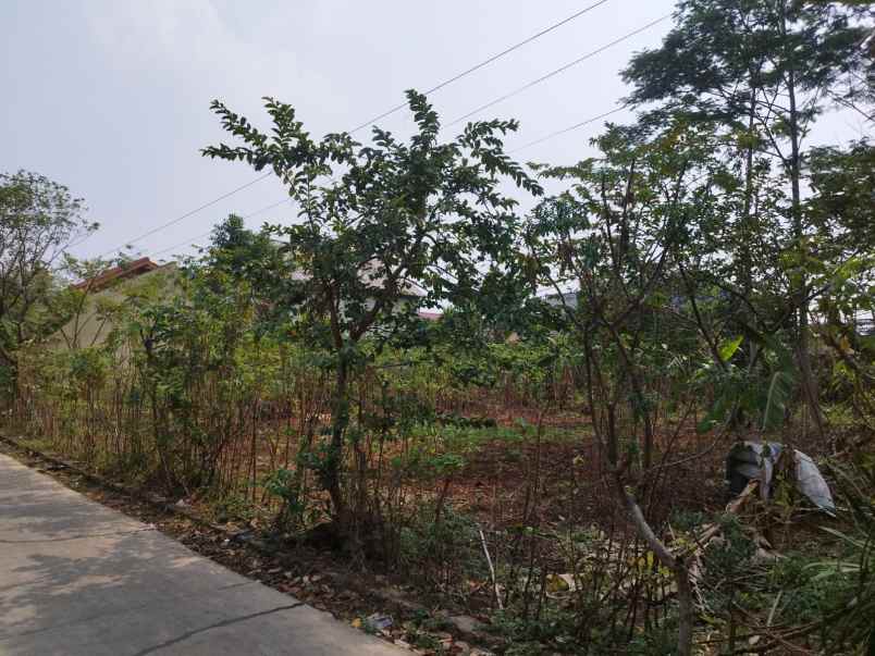 dijual tanah jl kesadaran rt 001 rw 01