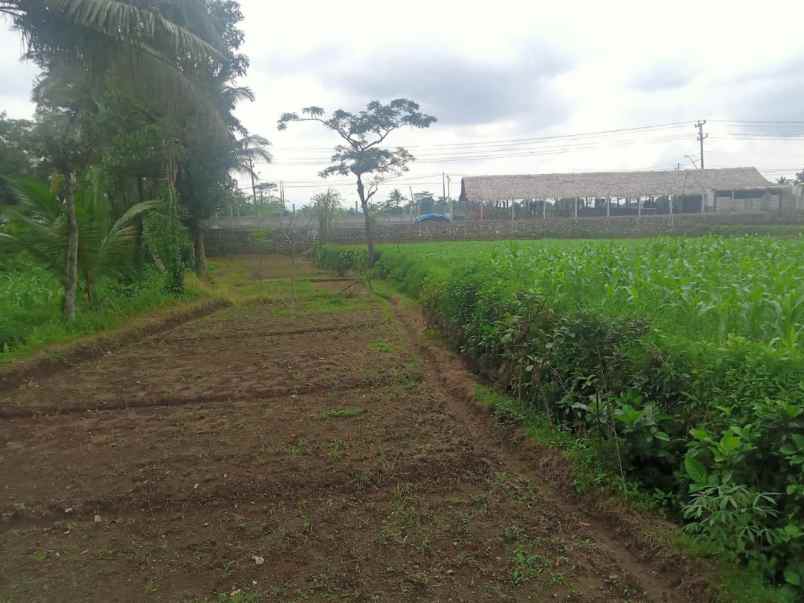 dijual tanah jl raya karangturi desa