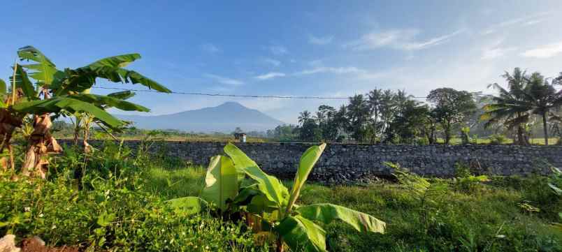 dijual tanah jl raya karangturi desa