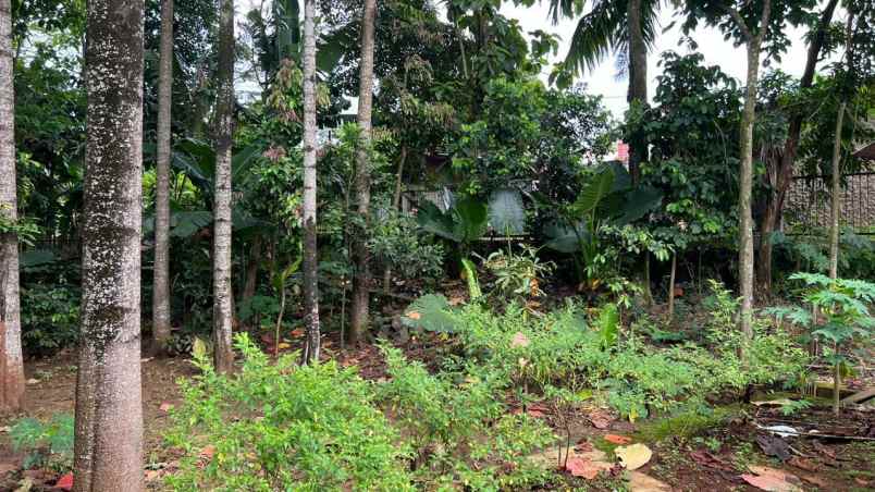 dijual tanah jl raya mohtar sawangan