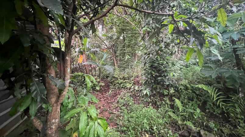 dijual tanah jl raya mohtar sawangan