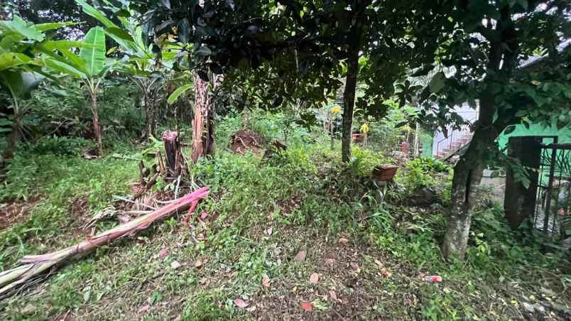 dijual tanah jl raya mohtar sawangan