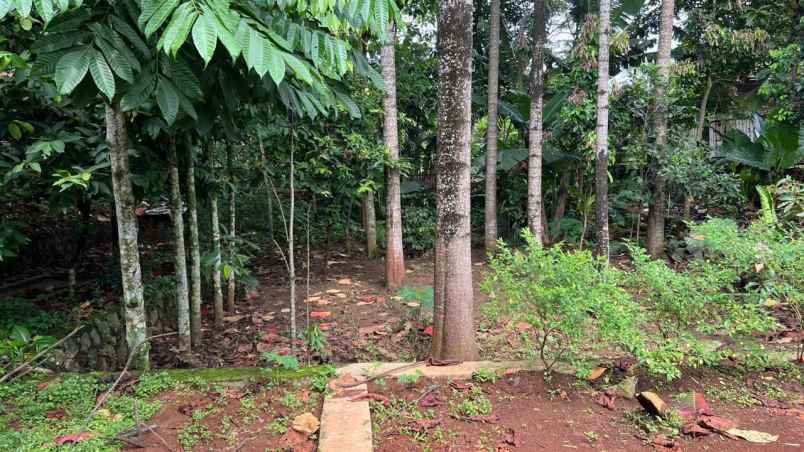 dijual tanah jl raya mohtar sawangan