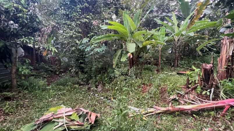 dijual tanah jl raya mohtar sawangan