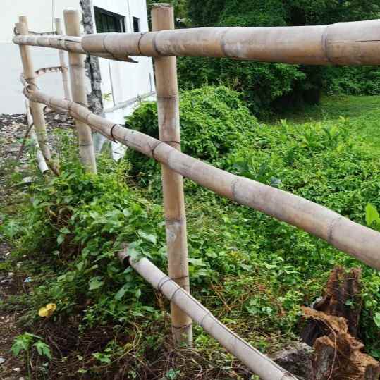 dijual tanah jl tegal cupek