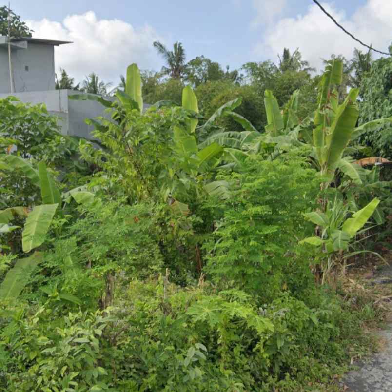 dijual tanah jln siulan