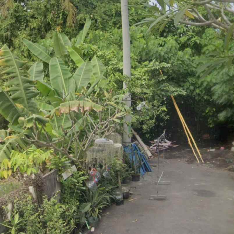 dijual tanah jln siulan