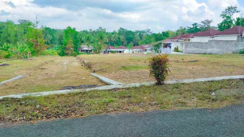 dijual tanah kaliberot sedayu bantul