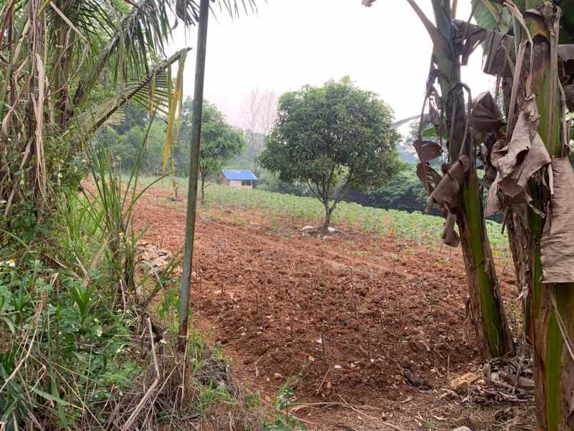 dijual tanah kavling siap bangun di sukahati citeureup