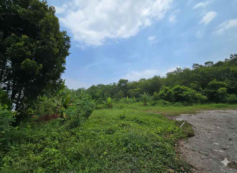 dijual tanah kawasan marunda center