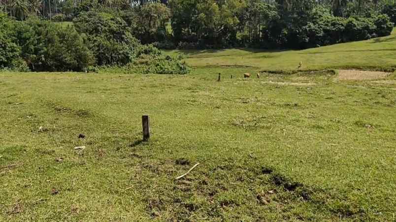 dijual tanah kawasan wisata balian